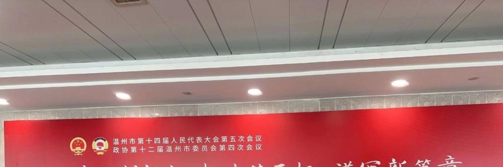 情牵桑梓 心系故乡——意大利侨领胡立峰亮相温州两会