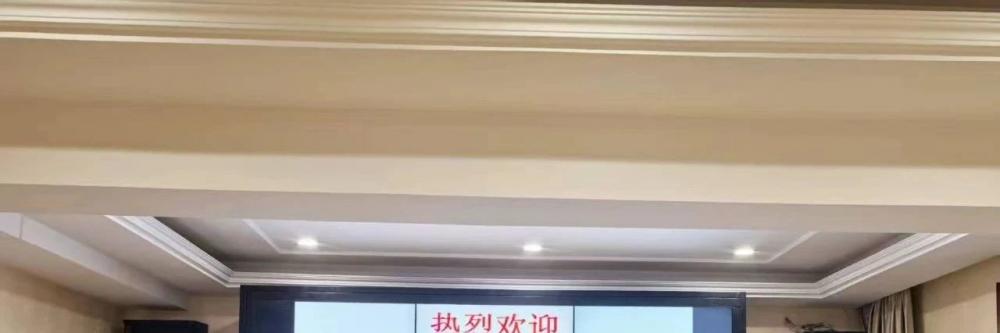 圆梦祖国行 文成续新篇——意大利华企文化交流协会拜访文成县侨办、侨联